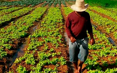 Sertão + Produtivo