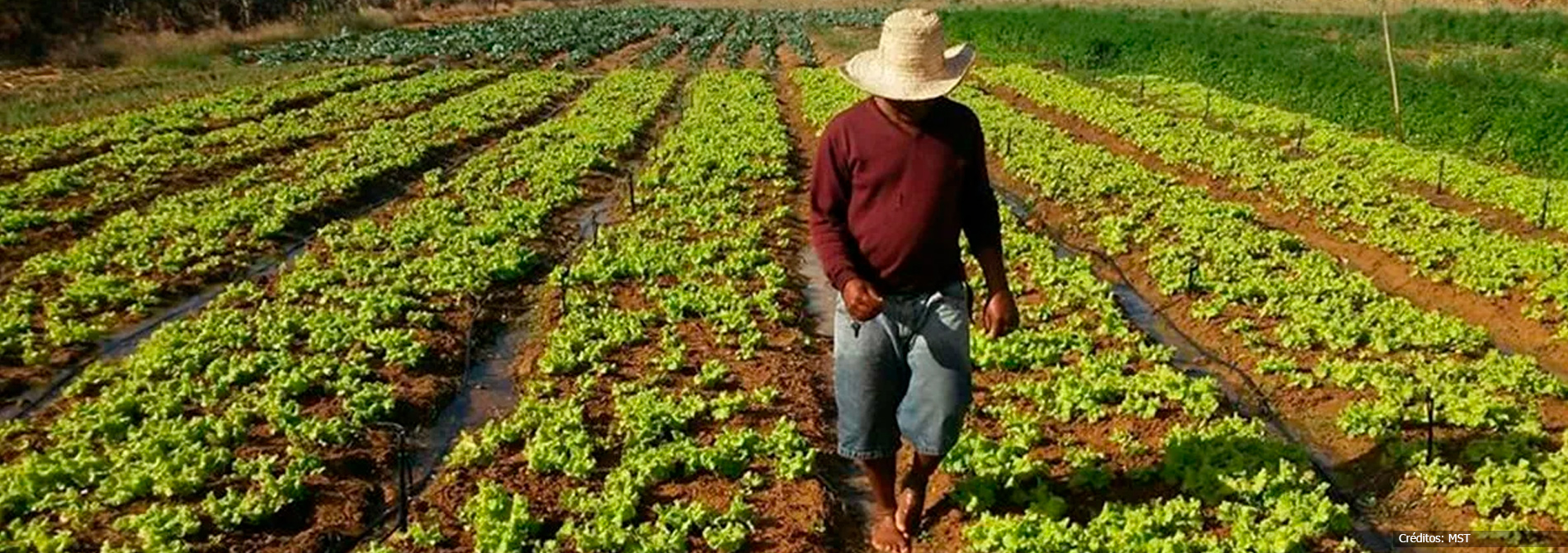 Sertão + Produtivo – Ceará (CEALTRU) 
