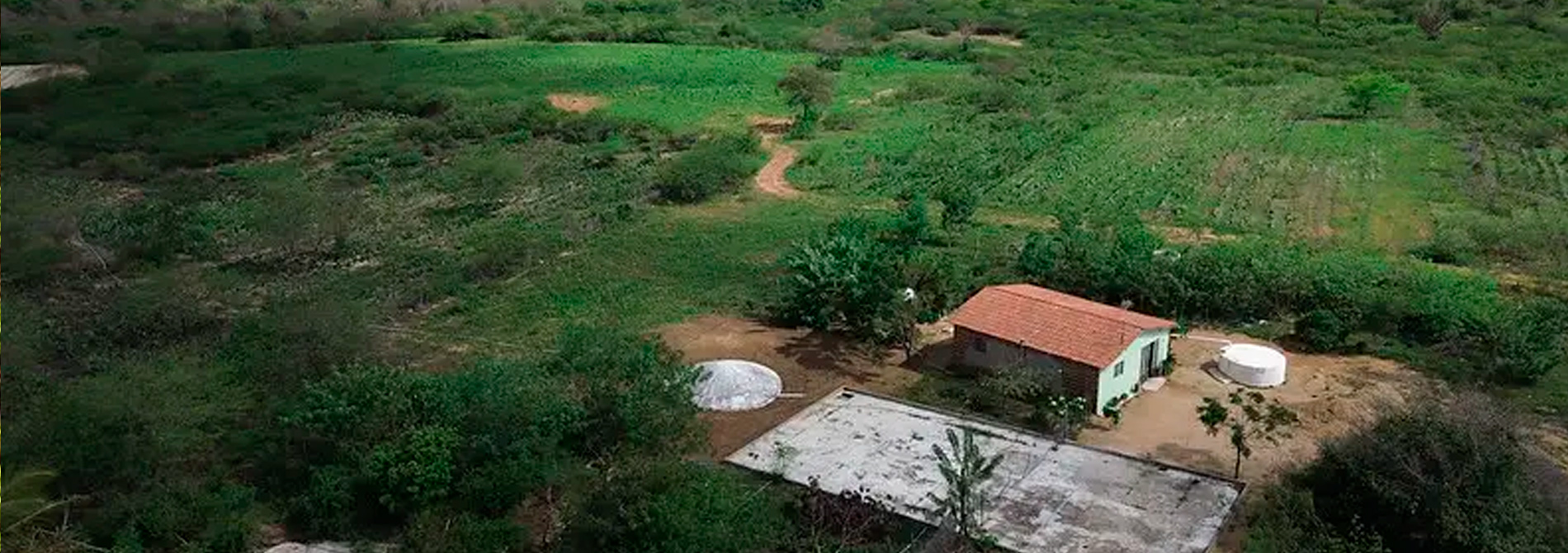 Sertão Vivo - Bahia